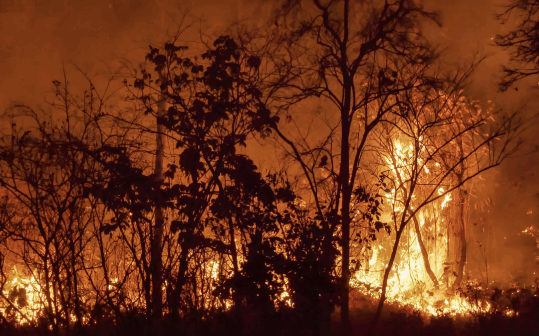 Atlantic County Public Health Officials Offer Wildfire Smoke Precautions